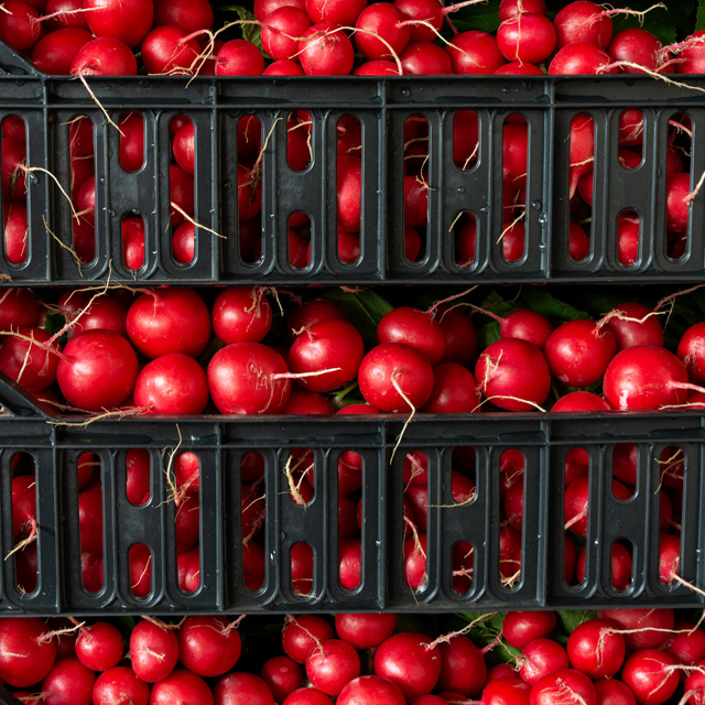 produzione3